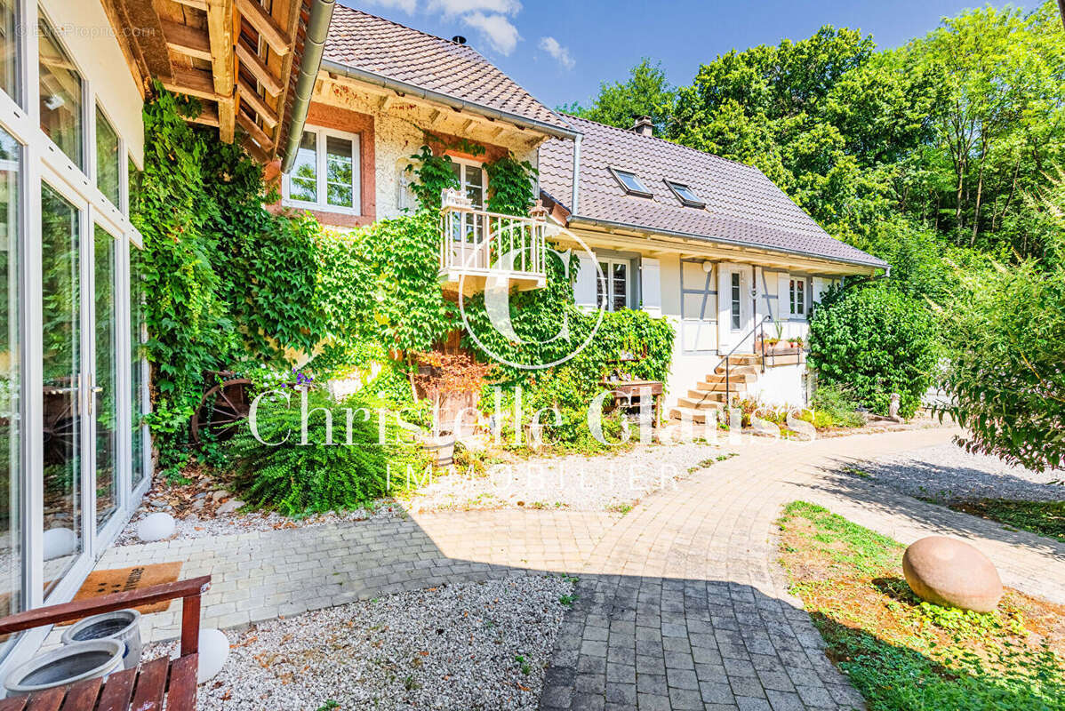 Maison Kuttolsheim 7 pièces 258 m2 - photo 2