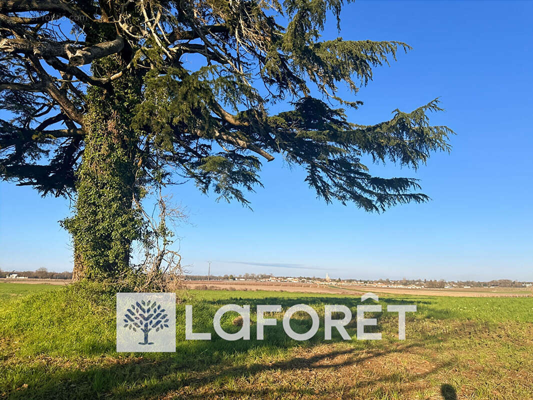 Terrain à TESSON