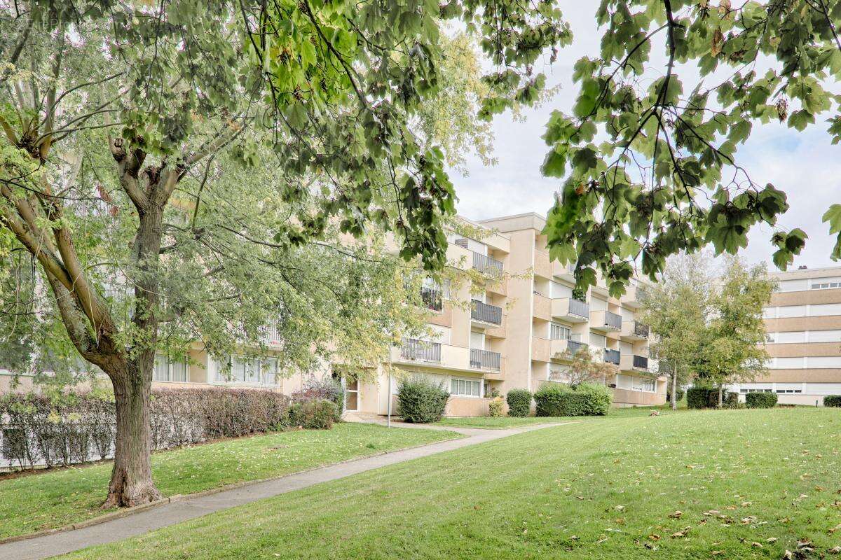 Studio occupe - vente investisseur - photo 2