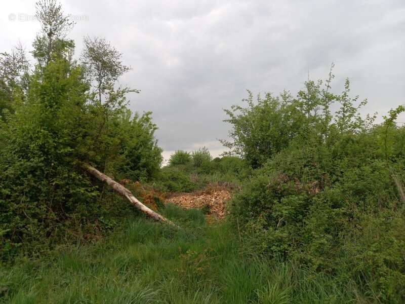 Terrain à COURTEMAUX