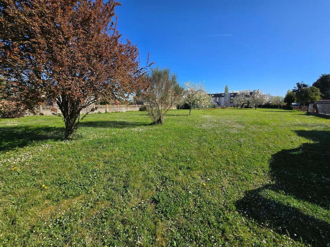 Photo 2 - Terrain à MONTMORILLON