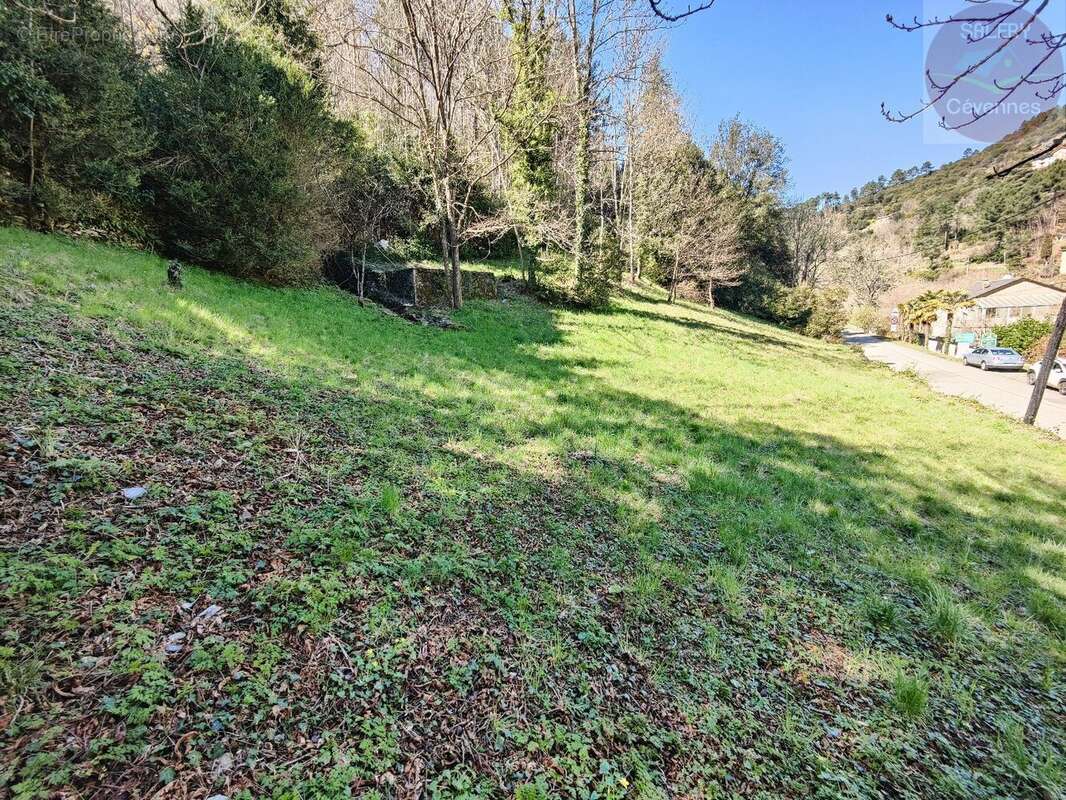 Maison à SAINT-ANDRE-DE-VALBORGNE