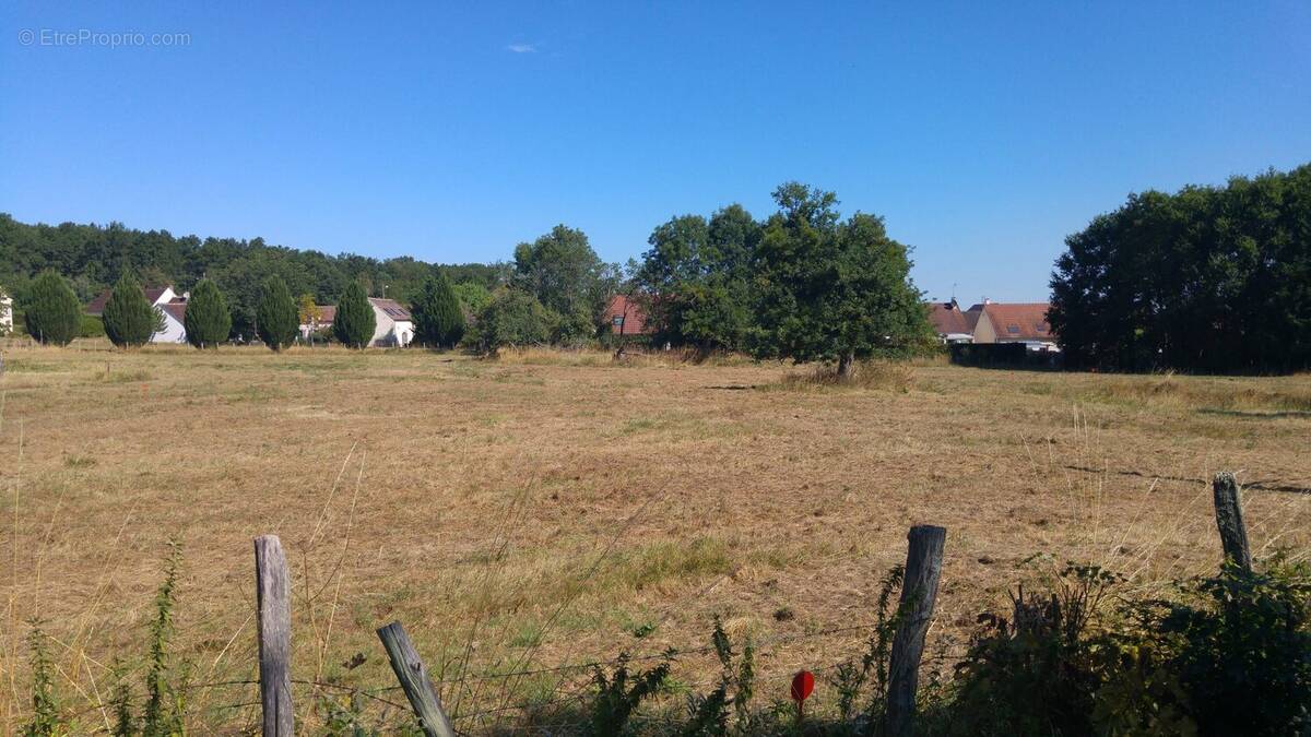 Terrain à APPOIGNY
