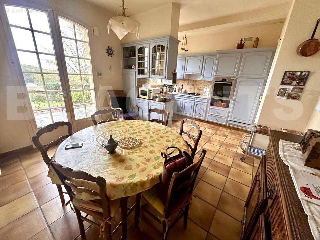 IMG_5951 - Maison à ALLASSAC