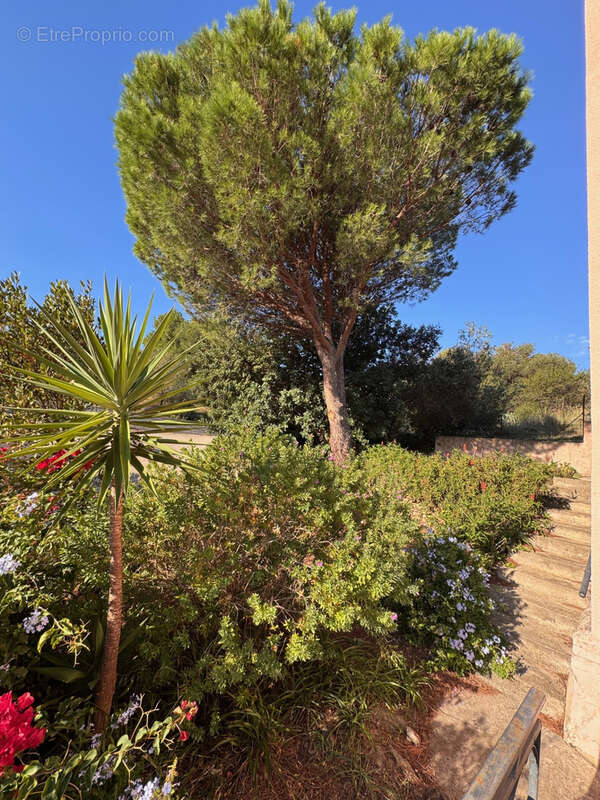 Maison à PORT-VENDRES