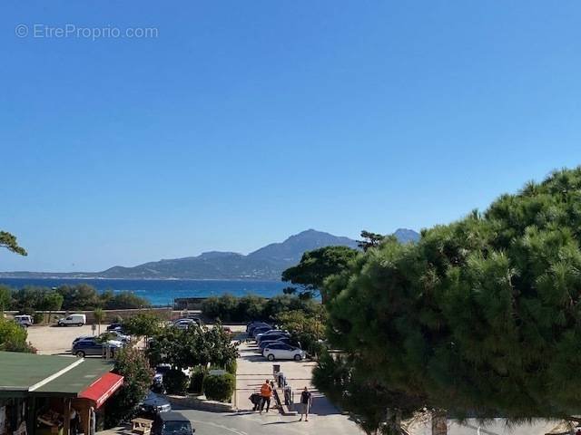 Appartement à CALVI