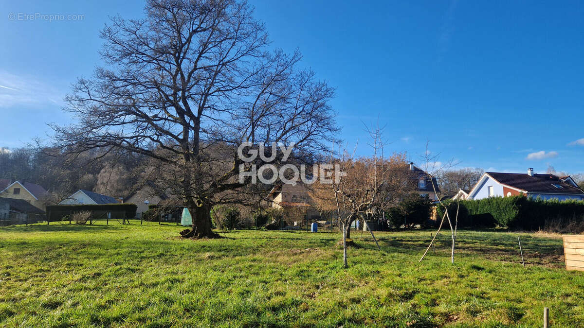 Appartement à ROUGEMONT-LE-CHATEAU