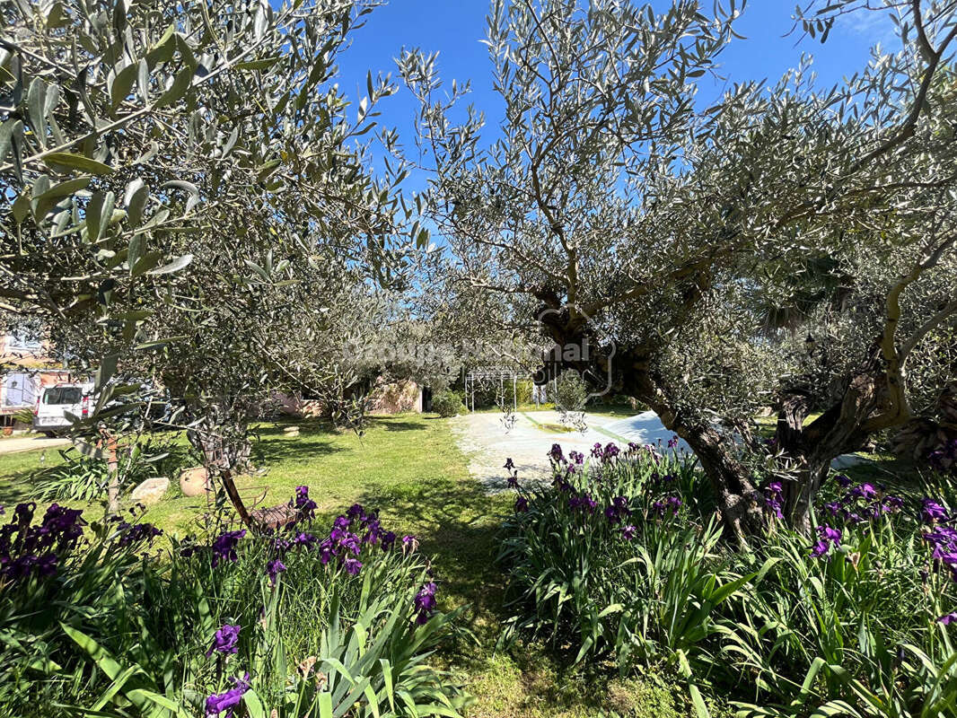 Terrain à BEAUCAIRE