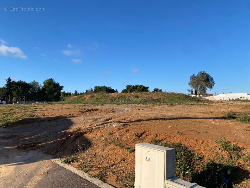 Terrain 931 m² à Narbonne  - photo 2