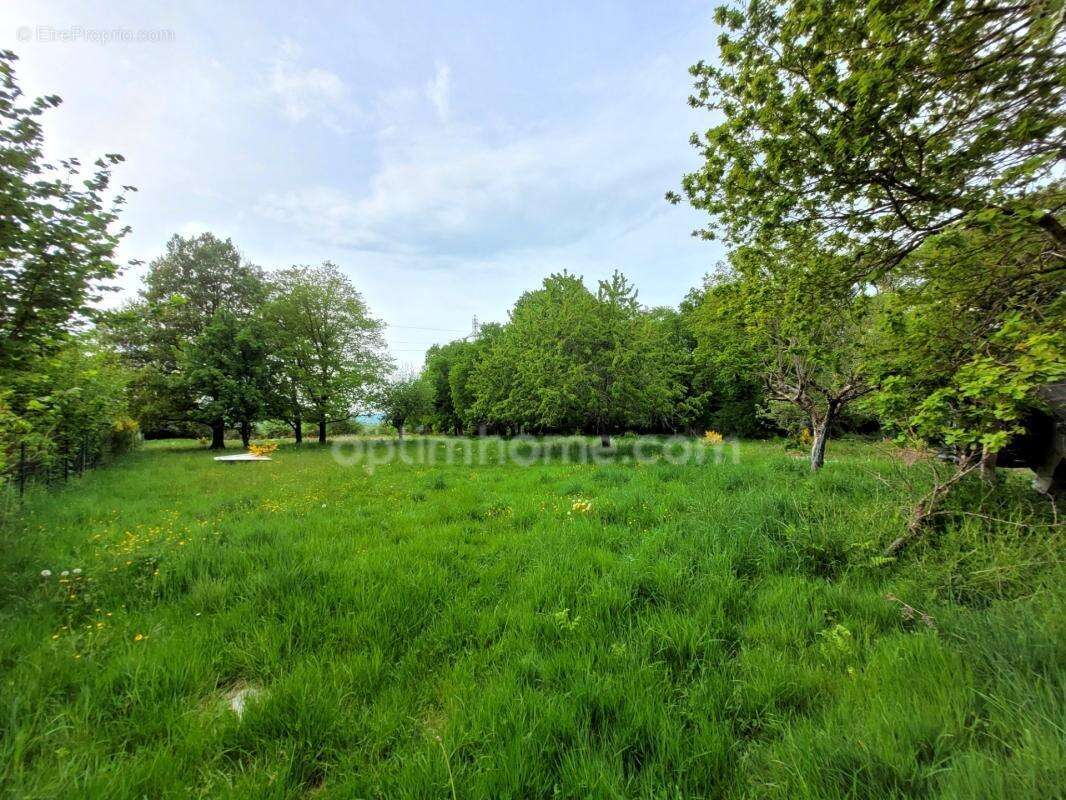 Maison de 153 m² avec 6038 m² de terrain arboré - photo 2