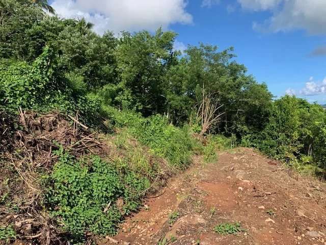 Terrain à RIVIERE-SALEE