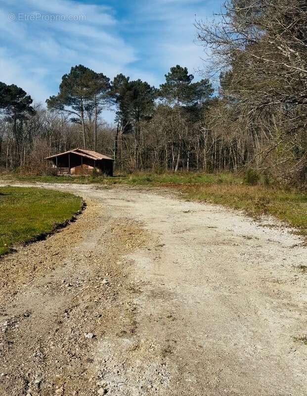 Terrain à vendre constructible ARGENTON (47) - photo 9