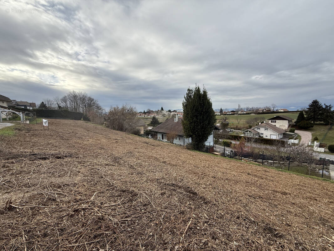 Terrain à ALLINGES