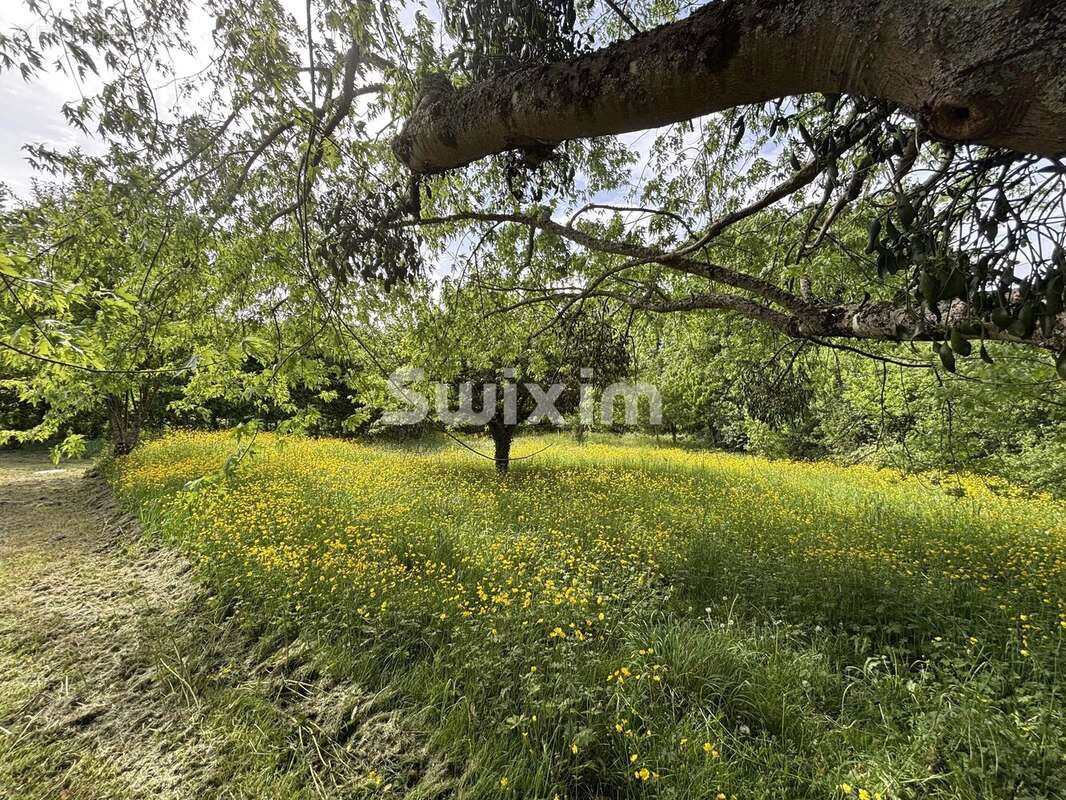 Authentique maison de caractère sur 2 650 m² de terrain clos - photo 13