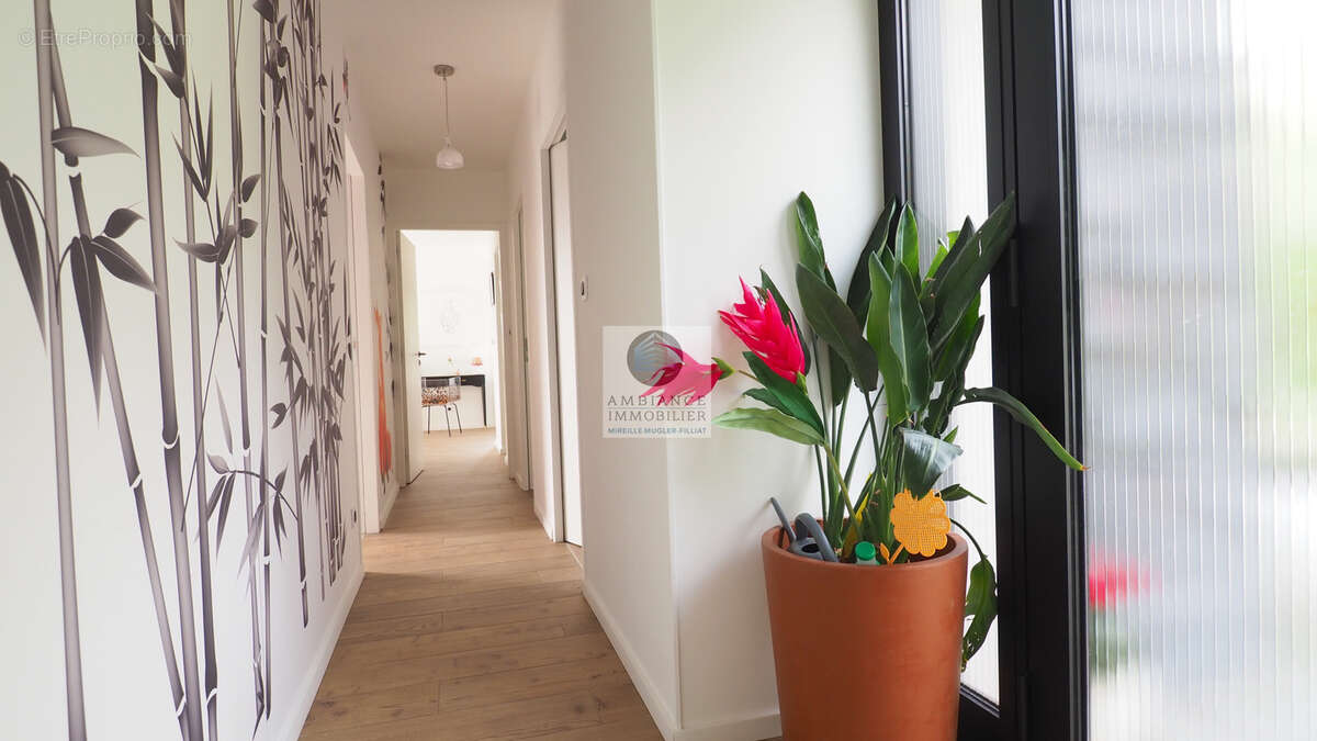 Maison à SAINT-PERAY