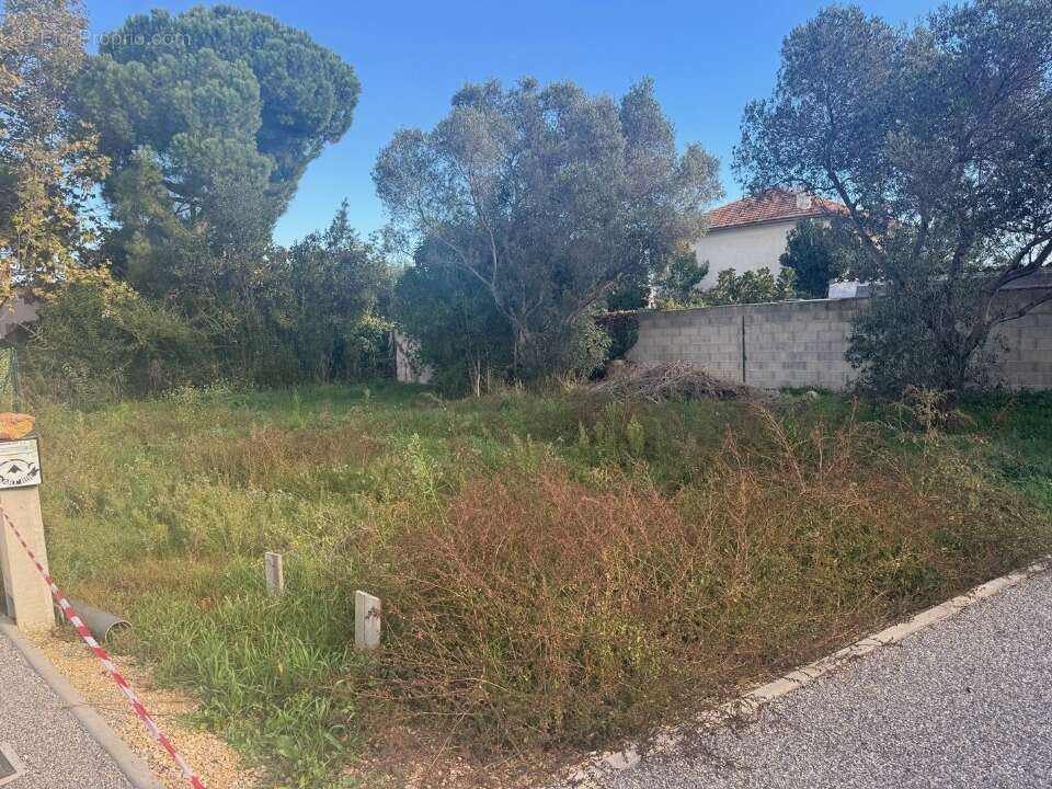 Terrain 300 m² à Istres  - photo 3