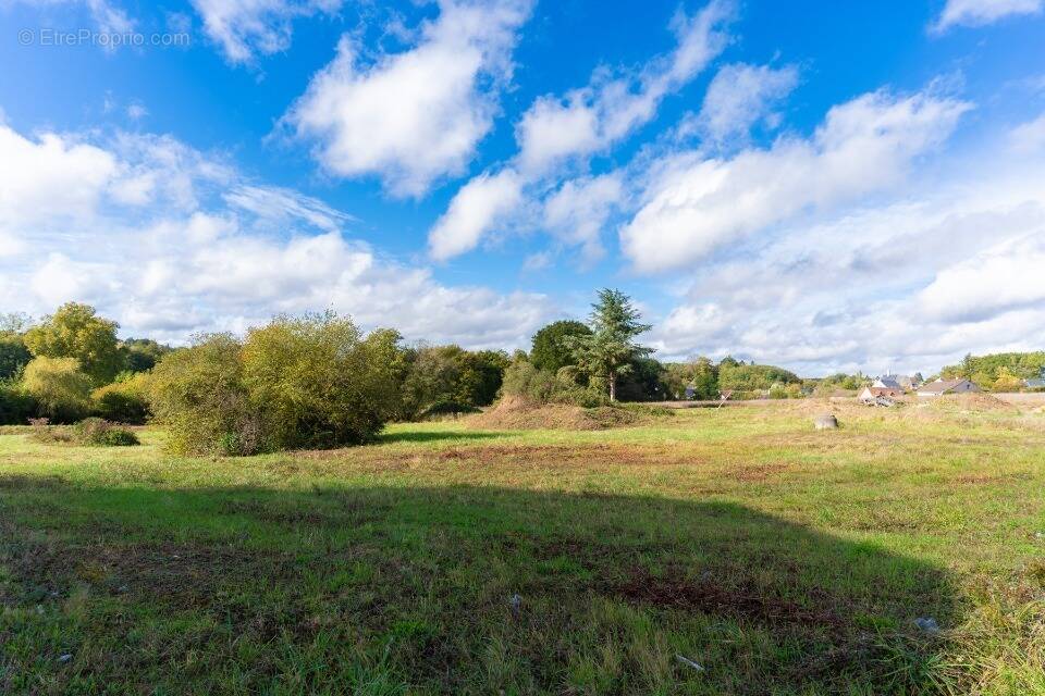 Terrain à CHENONCEAUX
