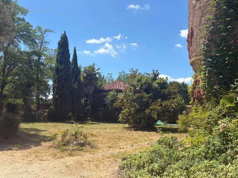 MARCIAC(32): ancienne SEIGNEURIE avec BEAU CHATEAU XIV sur 3,5ha, cachée, au bout du chemin, sans voisin, en campagne, 500m2 hab - photo 67