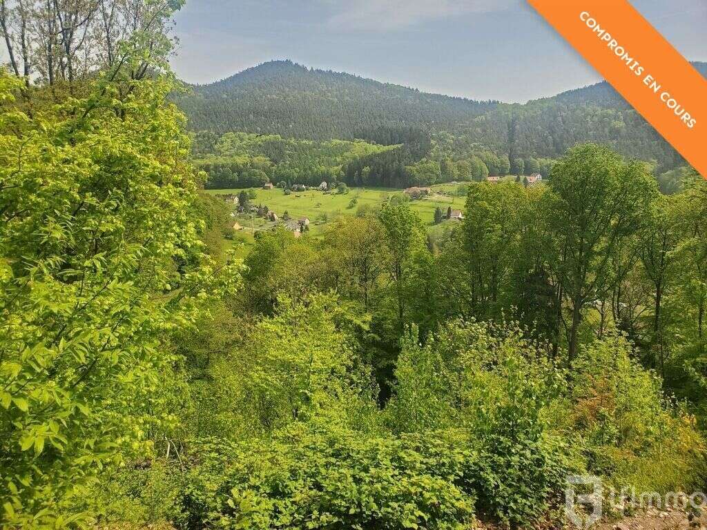 Terrain à WINDSTEIN