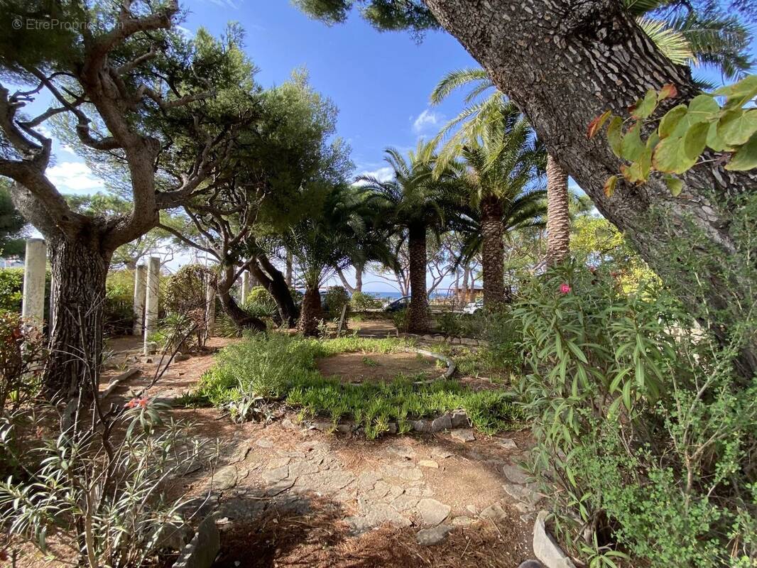 Appartement à SAINT-CYR-SUR-MER