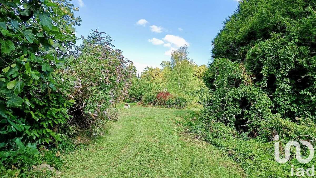 Terrain 3118 m² à Arcy-Sainte-Restitue  - photo 2