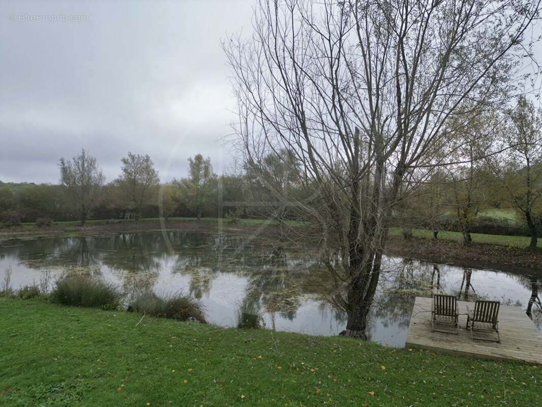 Maison à VILLEFRANCHE-DE-LONCHAT