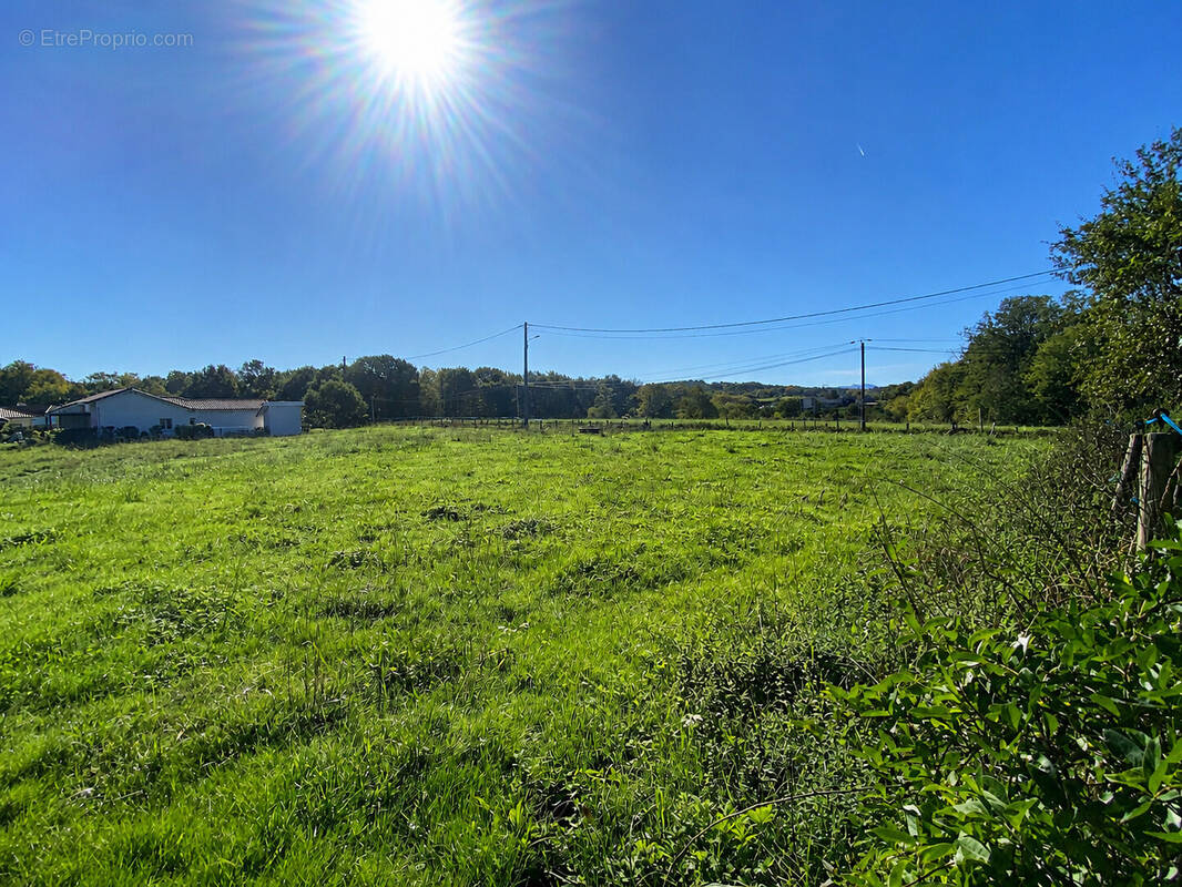 Terrain à SAINTE-MARIE-DE-GOSSE