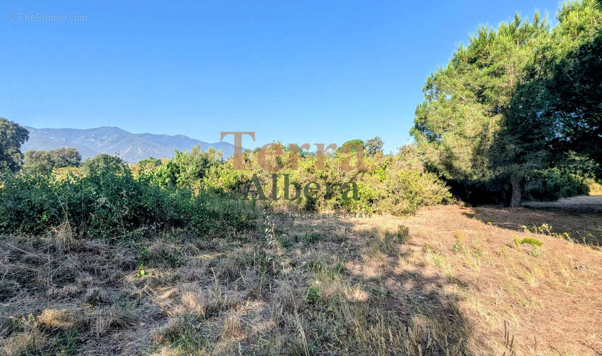 Terrain non constructible - photo 5