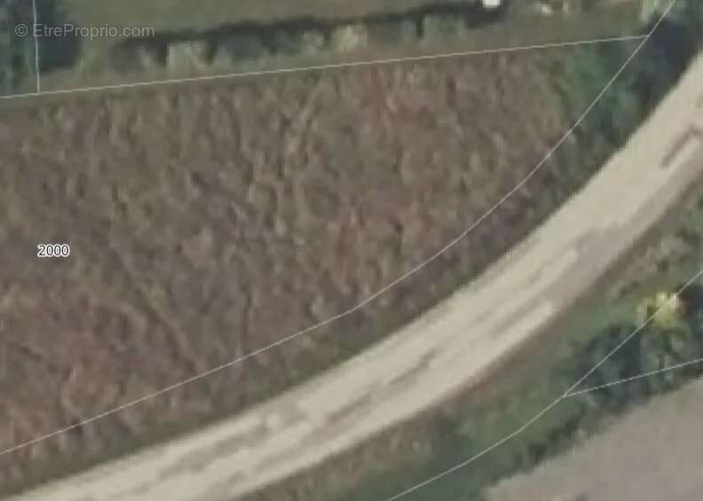 Terrain à ARGENTINE