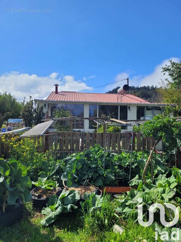 Photo 3 - Maison à SAINT-PIERRE