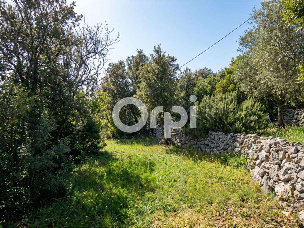 Bastide/mas en pierres authentique renové - calme absolu - terrain / oliviers - photo 17