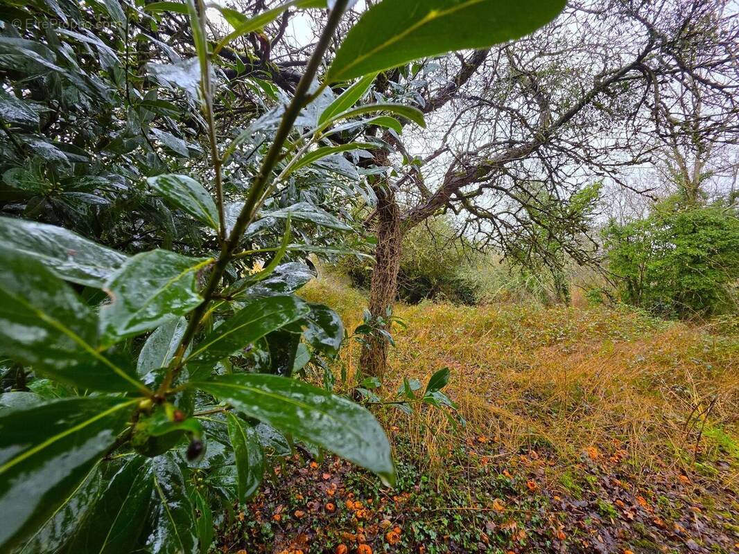 Photo 1 - Maison à LA FLECHE