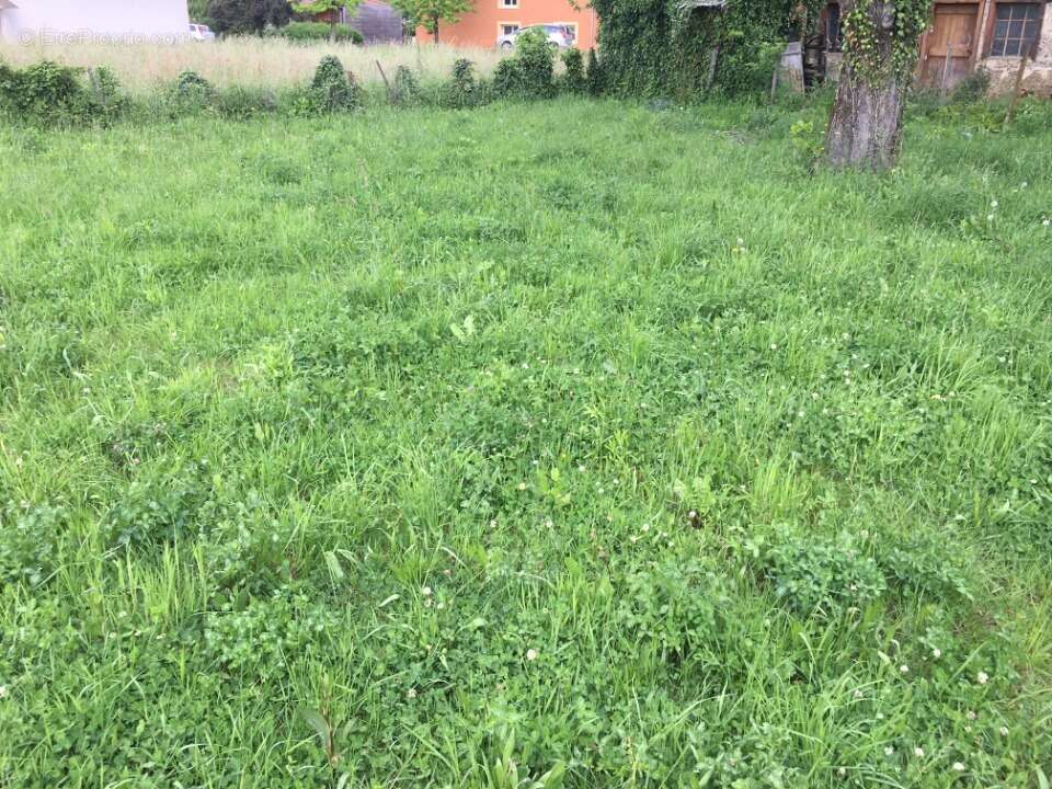 Terrain à BUELLAS