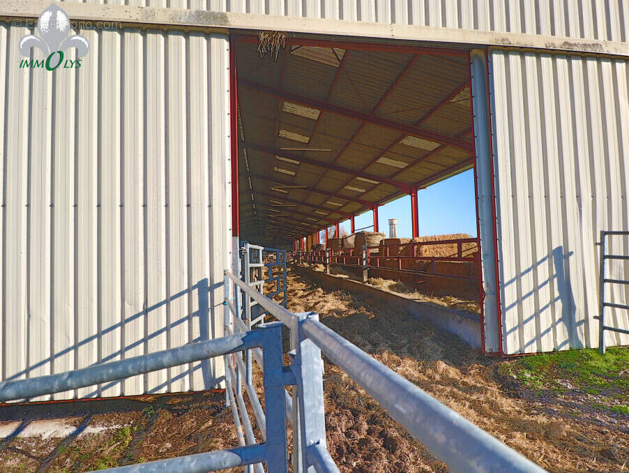 Autre à SAINT-JEAN-DE-LOSNE