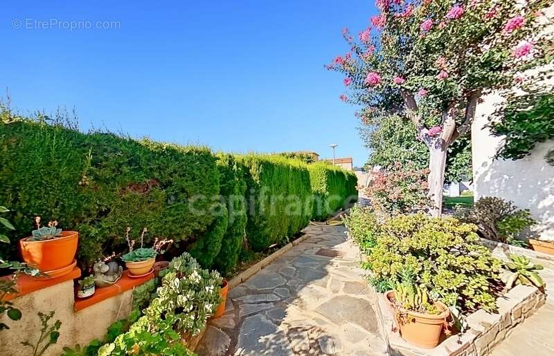 Maison à ARGELES-SUR-MER