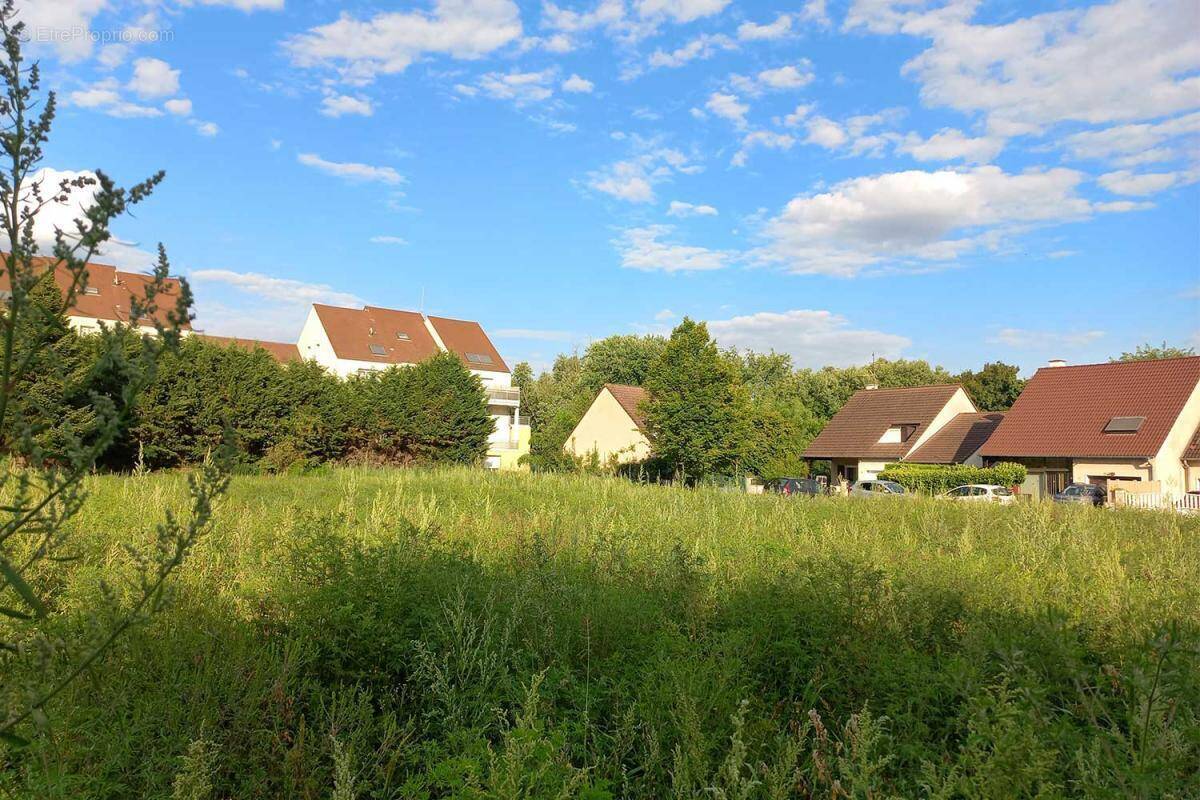 Terrain à SAINT-REMY