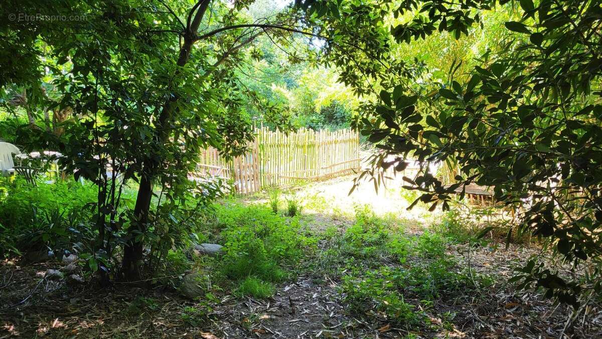 Appartement 69 m² à Amelie-Les-Bains-Palalda  - photo 8
