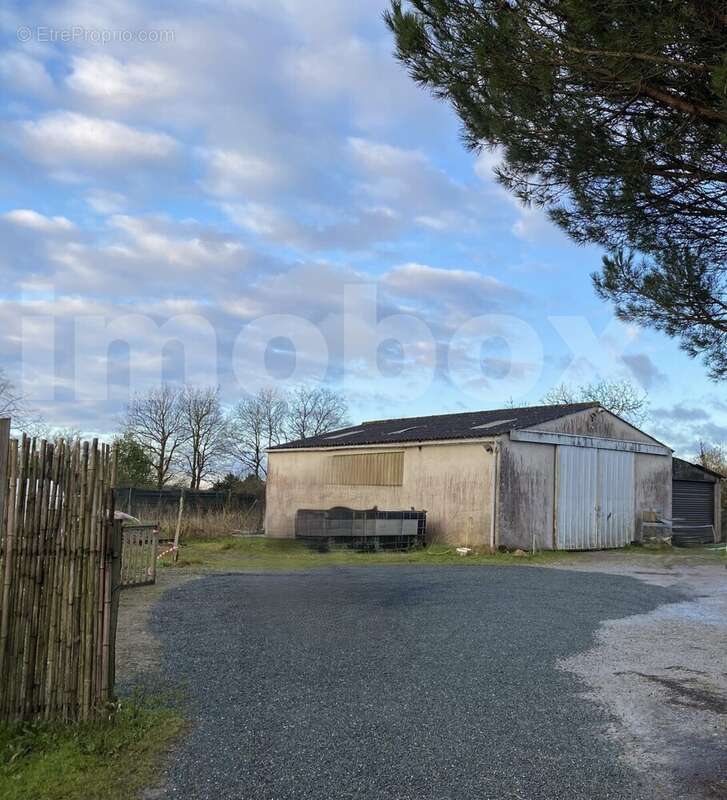 IMG_70562 - Maison à OUDON