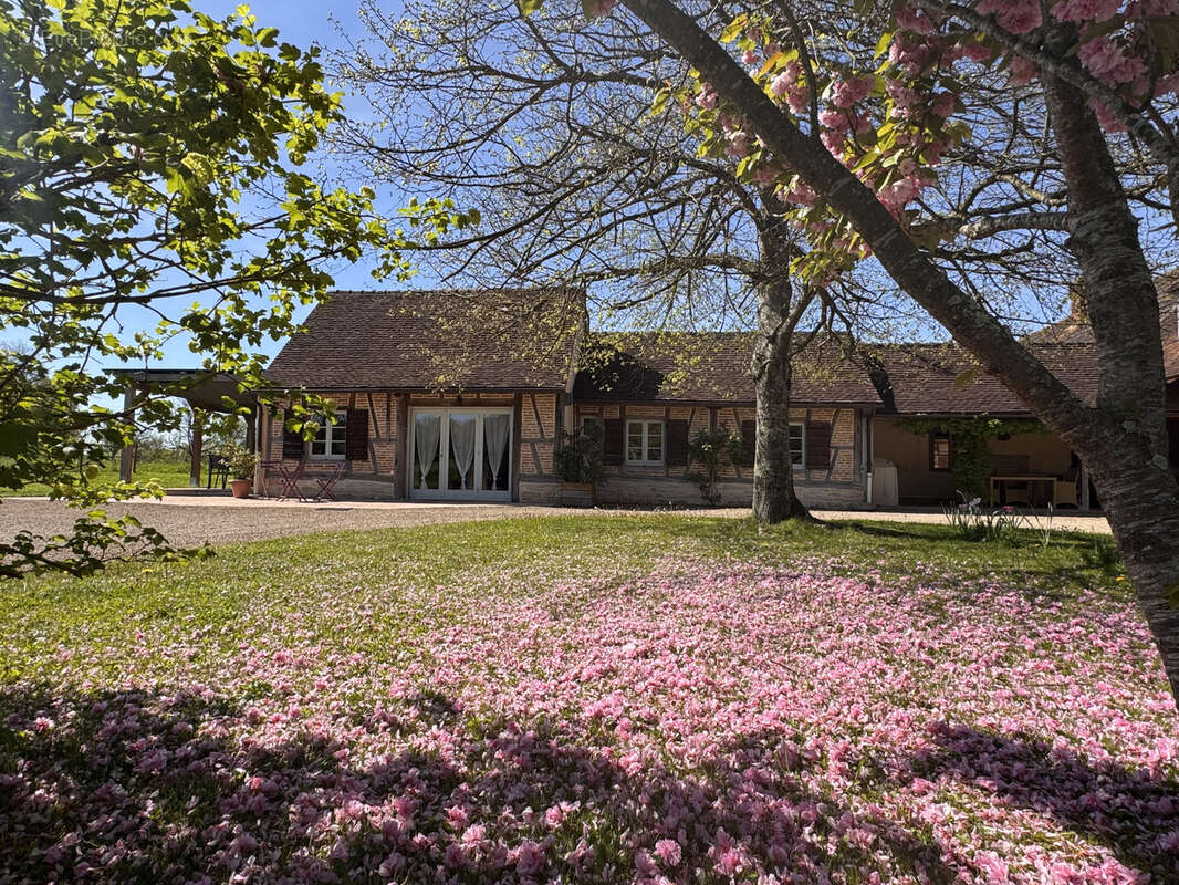 Maison à LOUHANS