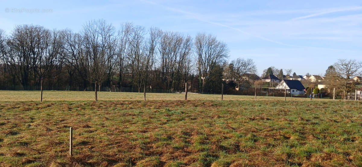 Terrain à ANGEOT