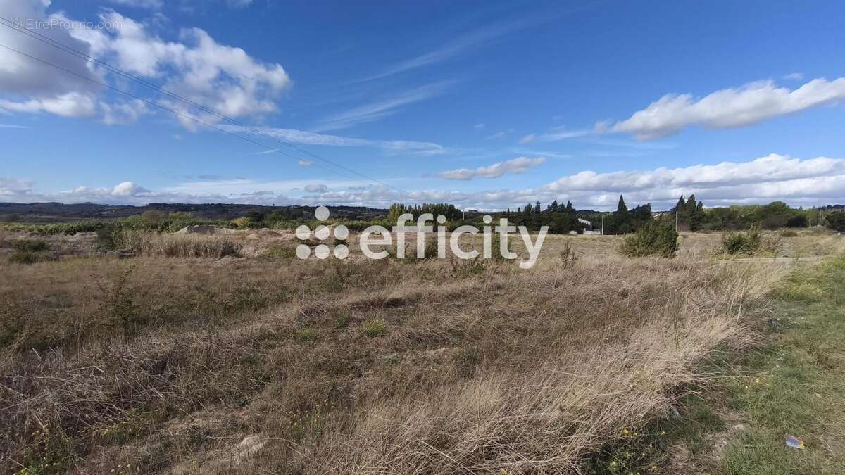 Terrain à LESPIGNAN