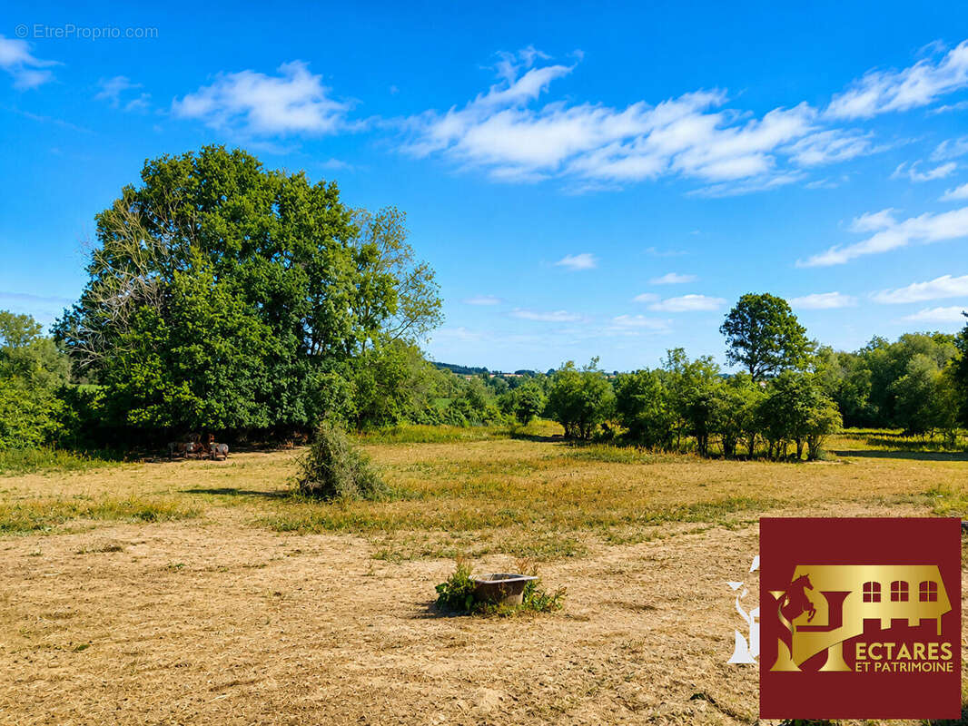 Fonds de commerce de centre équestre / poney-club à taille humaine - photo 5