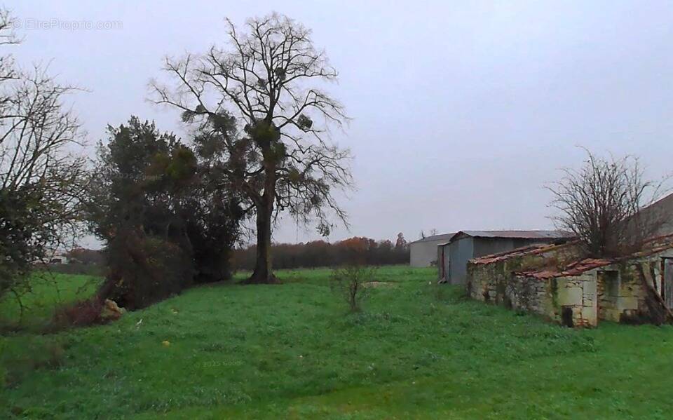 Terrain à SAINT-SULPICE-D'ARNOULT