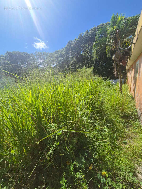 Terrain à LE MORNE-ROUGE