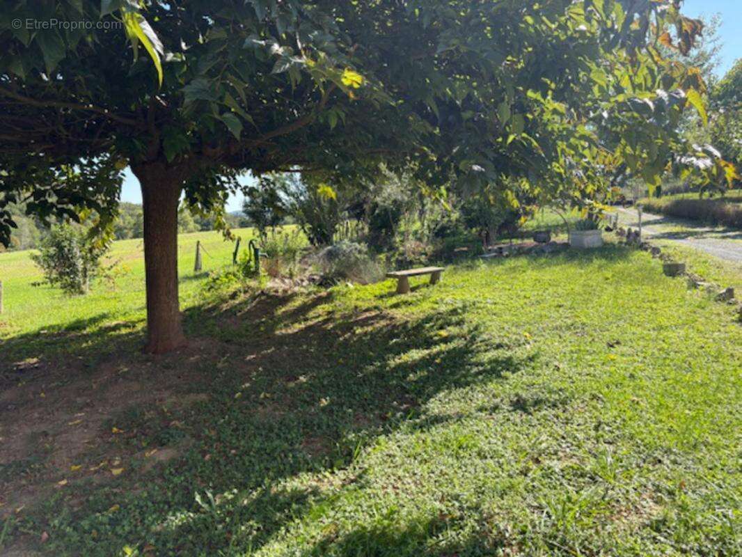 Maison à LABESSIERE-CANDEIL