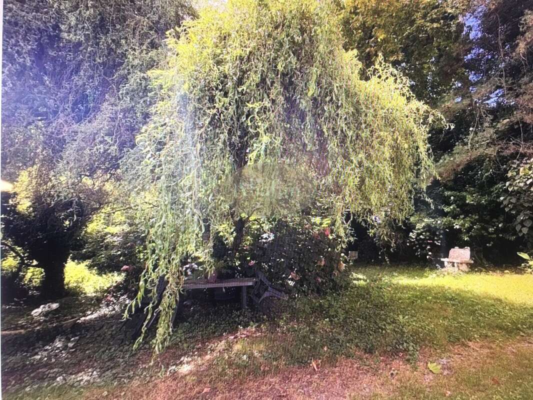 Maison à SAINT-PALAIS