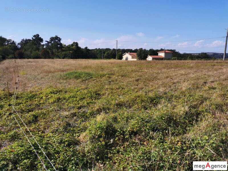 Terrain à BOUZON-GELLENAVE