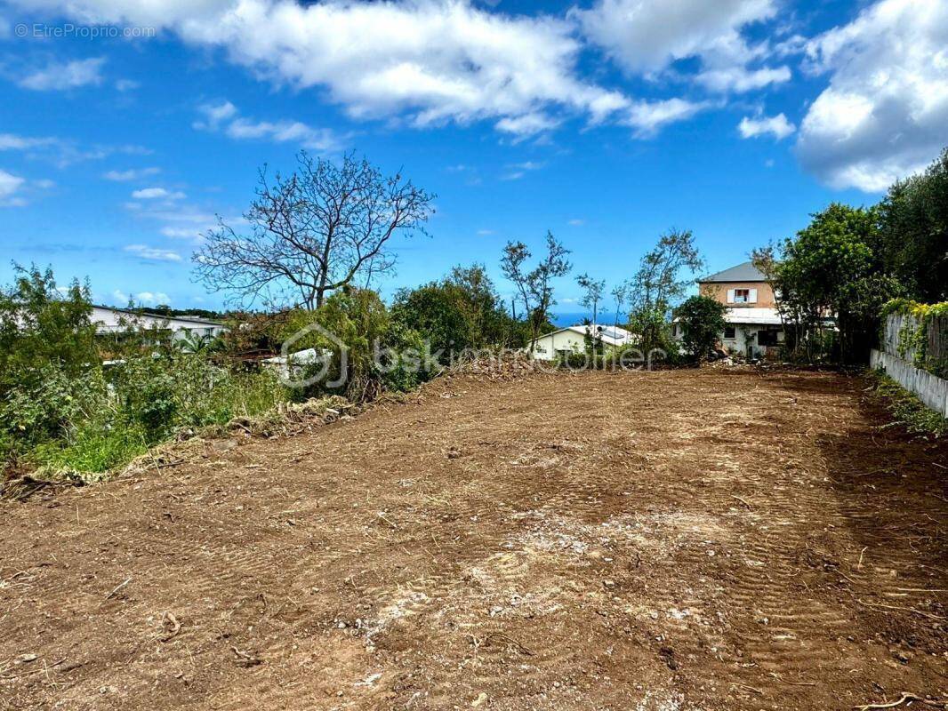 Terrain à SAINT-PIERRE