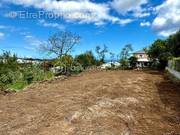 Terrain à SAINT-PIERRE