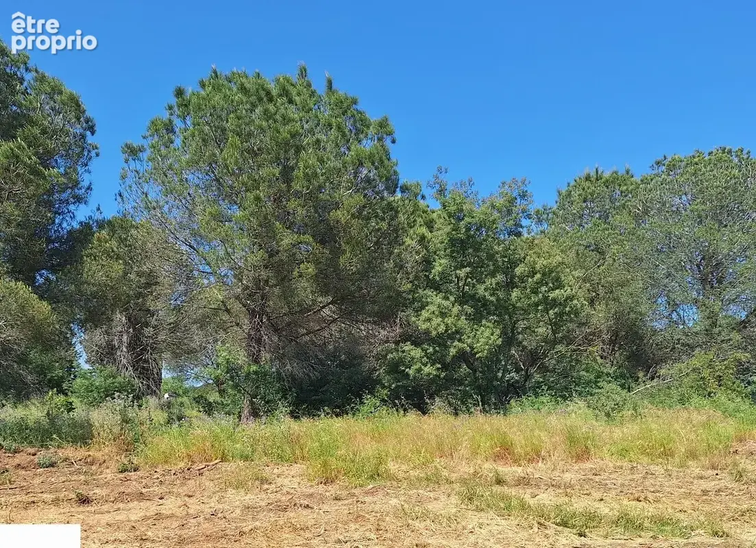 Terrain à SAINT-CYPRIEN